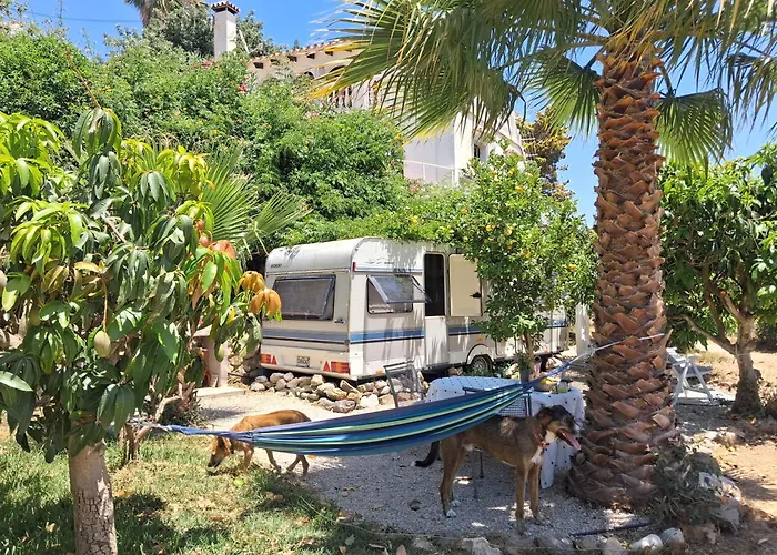 Caravan In Finca Molino In Almayate With Pool, Sea Views, Family Family Touch & Dog Madness