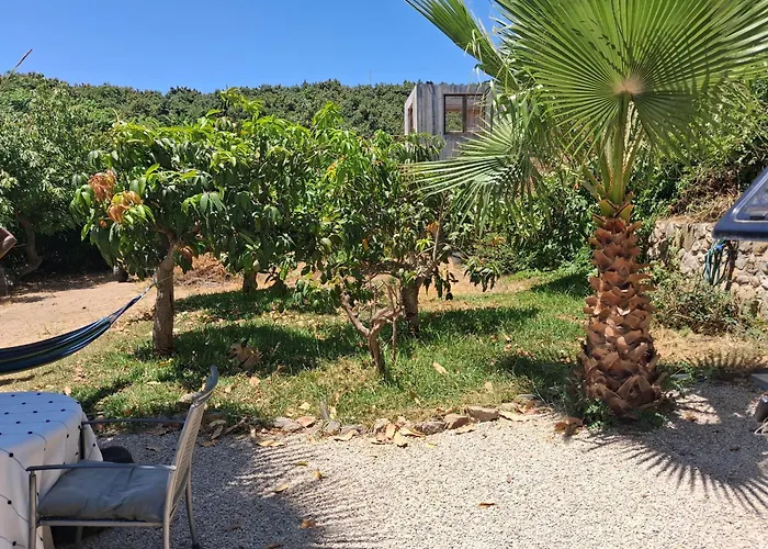 Caravan In Finca Molino In Almayate With Pool, Sea Views, Family Family Touch & Dog Madness