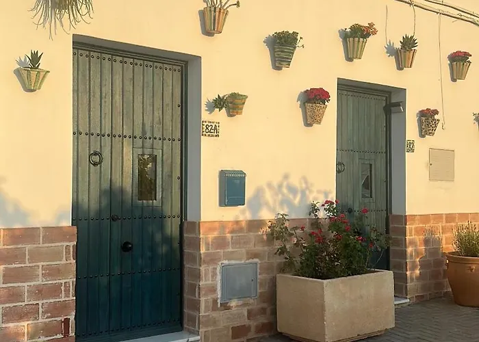 Florcactus