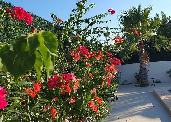 Villa Gerudo