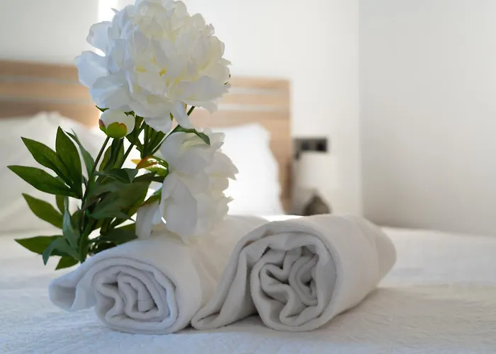 Hotel Novomar