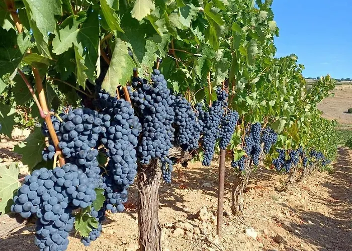 Albergue Hosting Duero