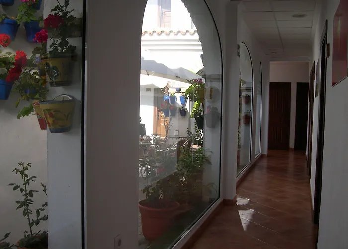 Hotel Cortijo Los Gallos