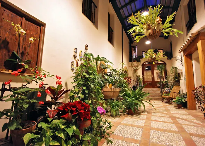 Eco Hotel con encanto Masía la Mota B&B