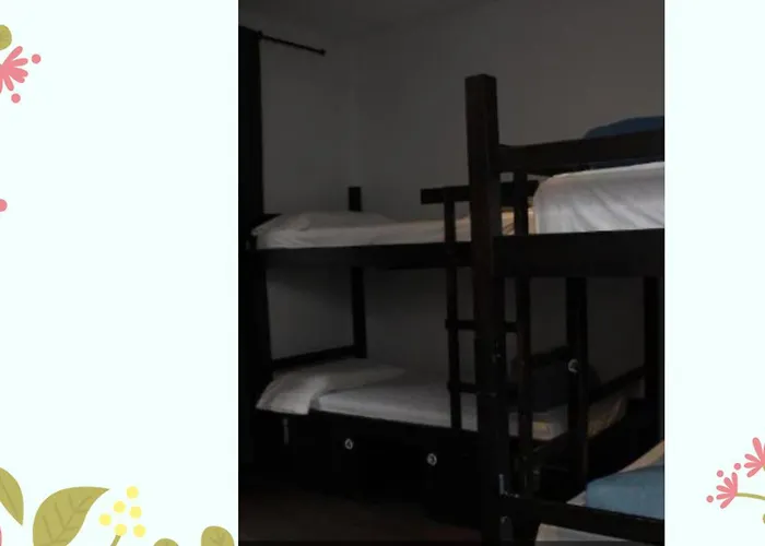 Oasis Backpackers' Toledo