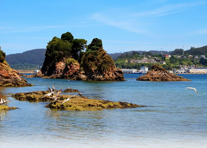 Duerming Sea View Viveiro