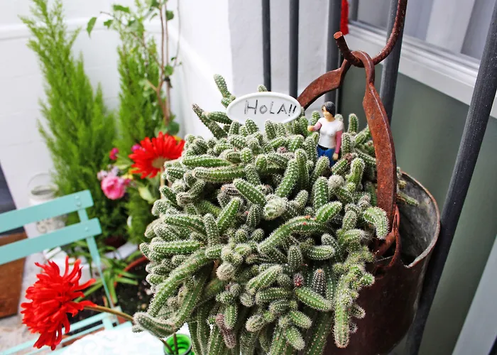 Casa de Huéspedes Santa Maria
