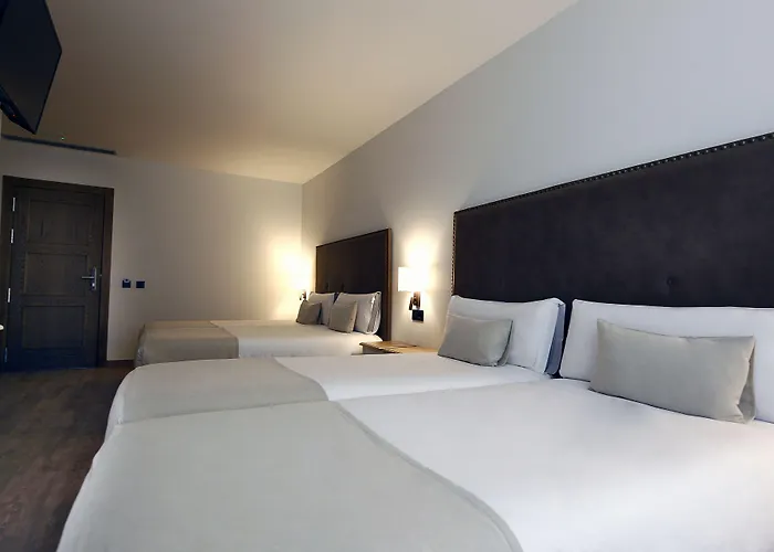 Vistalegre Hotel-Spa