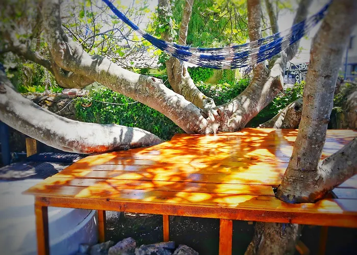 Surftolive House