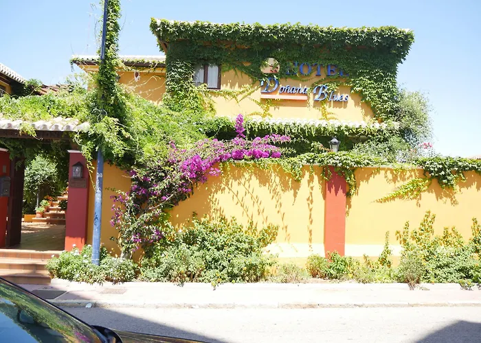 Hotel Donana Blues