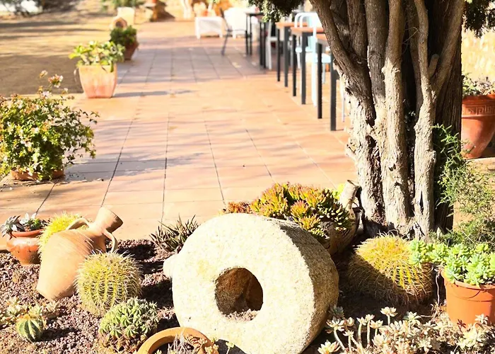 Mas Ribas Hotel I Esdeveniments