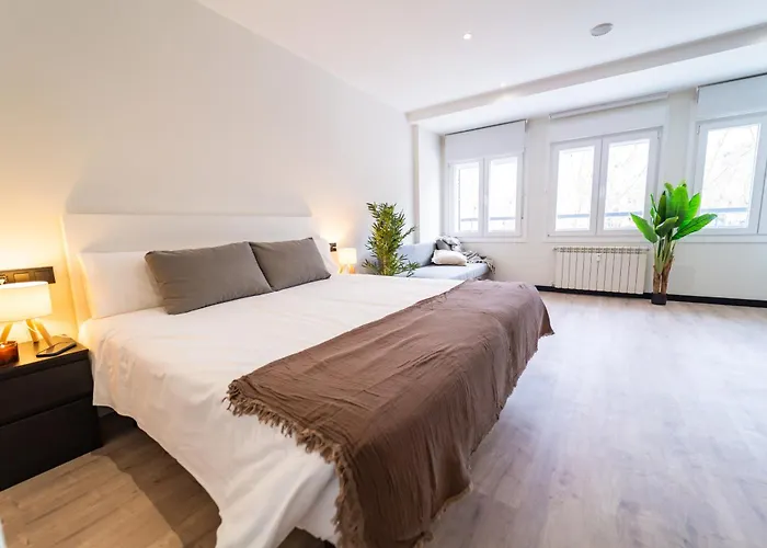 Rental Room Paseo Zorrilla 100 Coliving