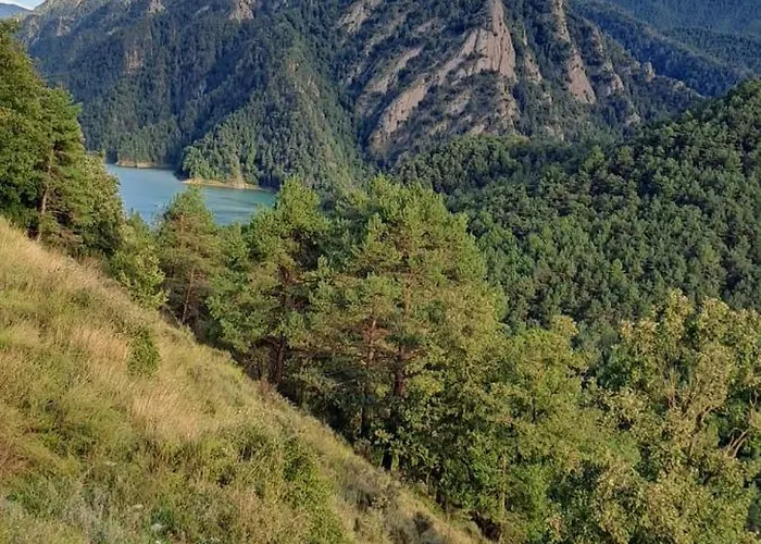 Camping Morunys
