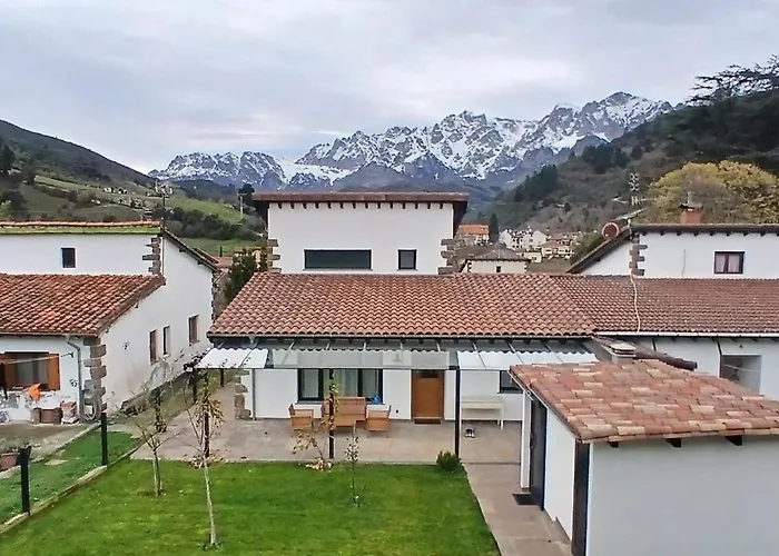 Mirando a los Picos de Europa