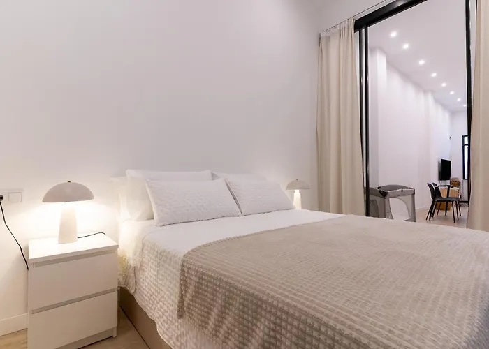 Loft moderno recién reformado con patio en el centro de Elche