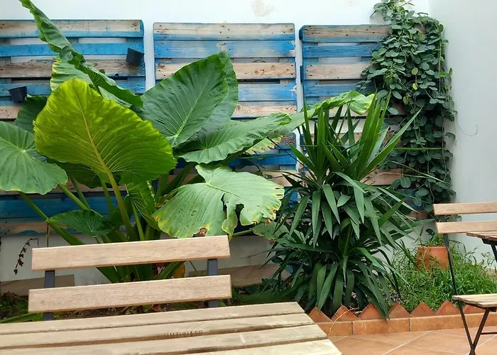 CASTRO Suites Osuna