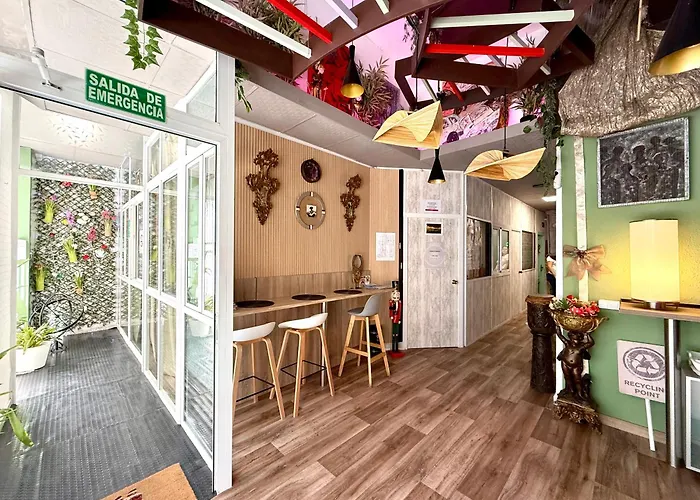 Hostel Pepper-Gold -Pedestrian Strett-3 Minutes From Marine -Very Spacious Room -Bed Rooms 8 Guest 55 M2 And 8 Guest 65 M2