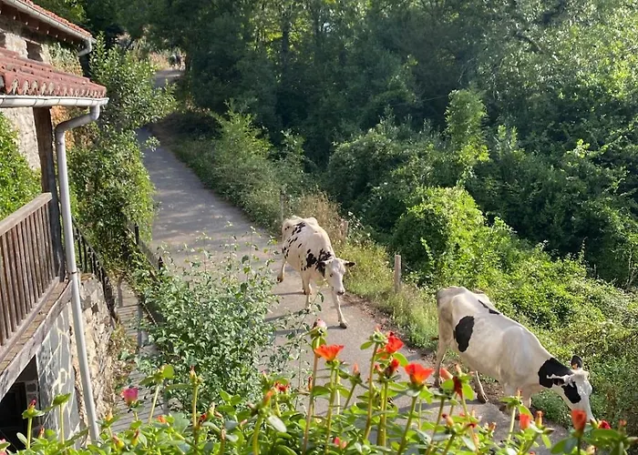 Casa Guardamino - Naturaleza