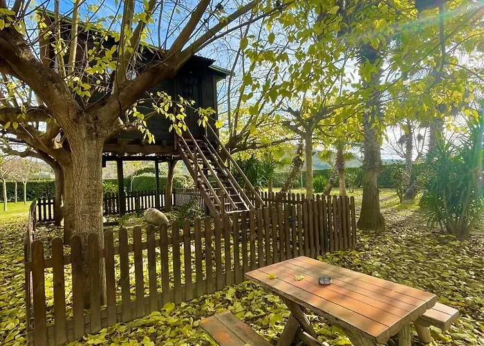 Nature Tree House Casa sobre los árboles