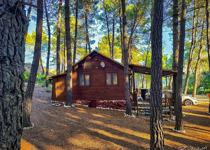 Cabaña Ananda Río Mundo