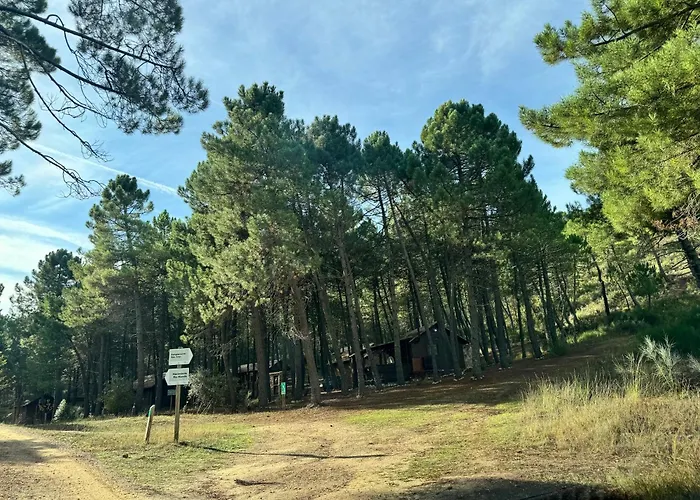 Cabaña Ananda Río Mundo