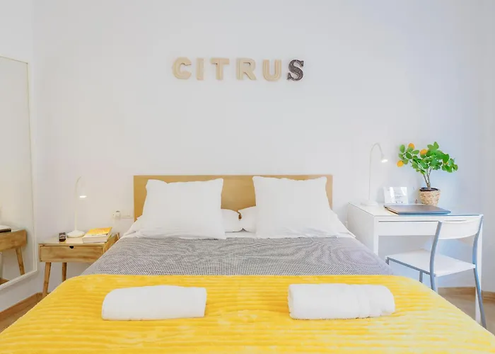 Citrus Suite By Alhaurin Loft City Center