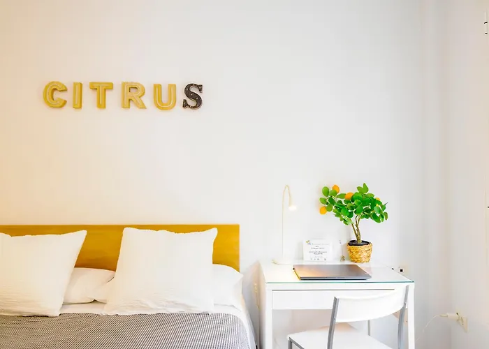 Citrus Suite by Alhaurín Loft City Center