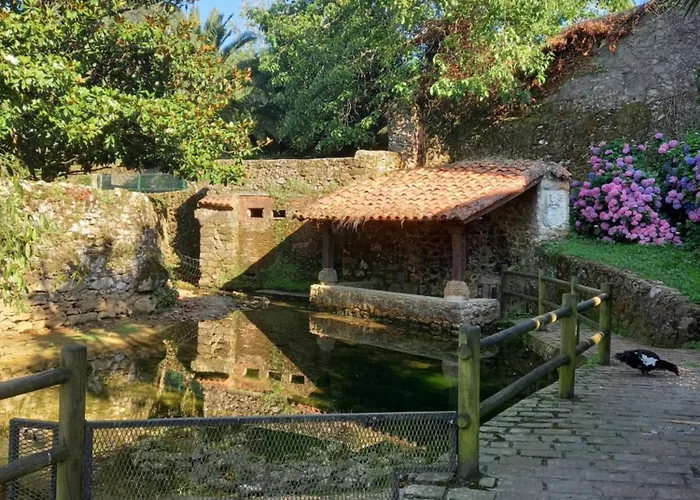los laureles de novales