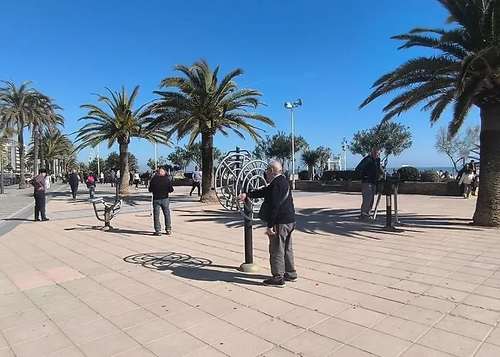 Latido del Puerto