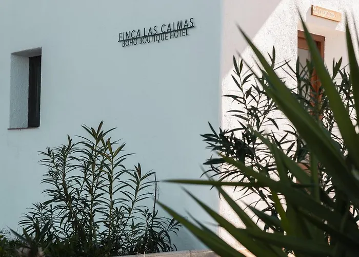Finca las Calmas boutique hotel&retreats