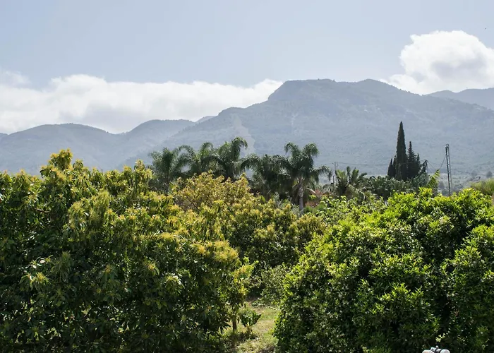 Finca Andaluz