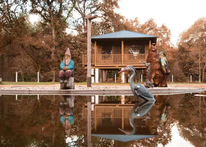 Pensión Cabañas Bosque Máxico de Bonxe