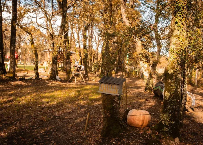 Pensión Cabañas Bosque Máxico de Bonxe