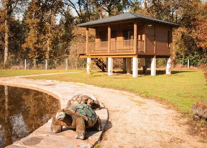 Pensión Cabañas Bosque Máxico de Bonxe