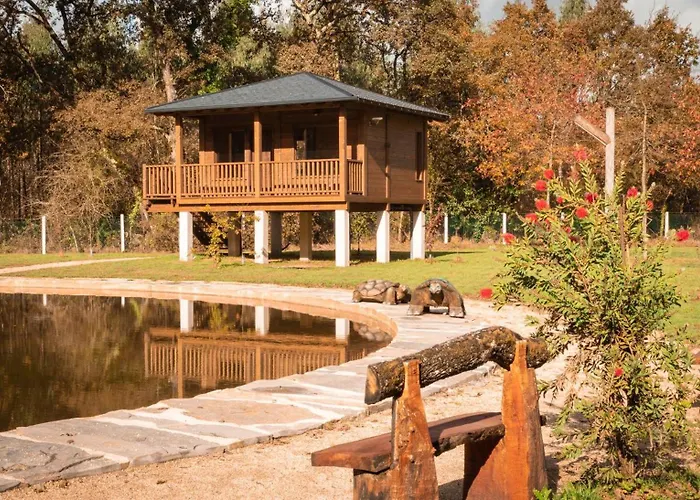 Pensión Cabañas Bosque Máxico de Bonxe