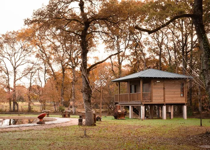 Pensión Cabañas Bosque Máxico de Bonxe
