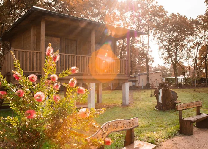 Pensión Cabañas Bosque Máxico de Bonxe