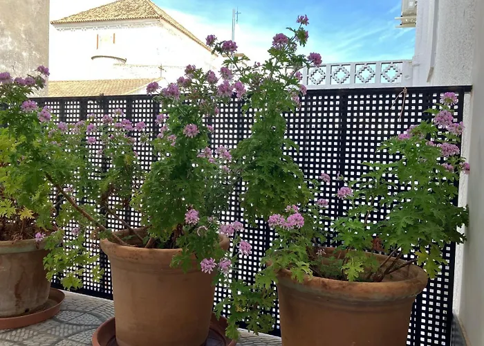 Apartamento sobre el rio Guadiana