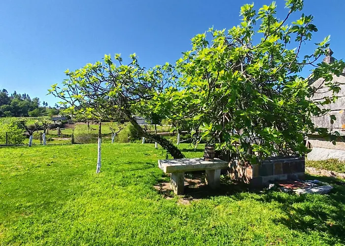 Olivo De Reis
