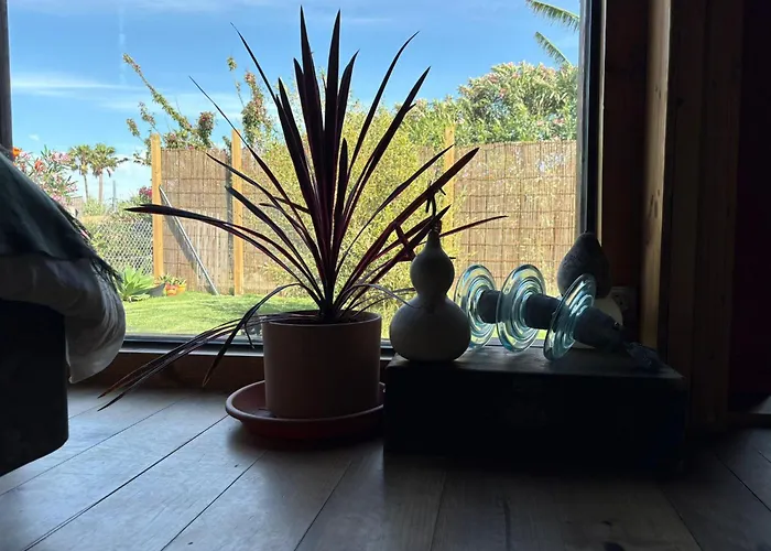 Casa Isabelina Stay near Doñana&the Coast