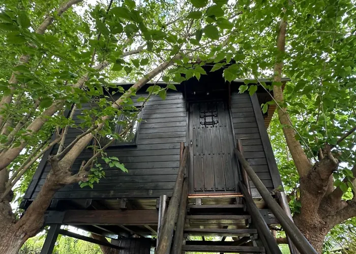 Nature Tree House Casa Sobre Los Arboles