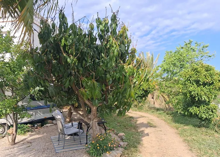 Caravan In Finca Molino In Almayate With Pool, Sea Views, Family Family Touch & Dog Madness