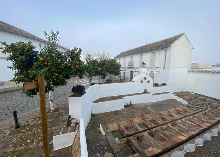 Aparthotel Las Palomas