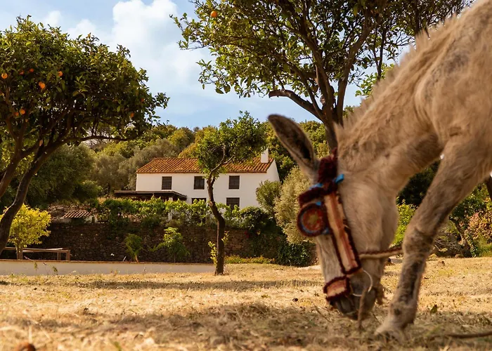 Finca Santa Teresa, Casa La Higuera
