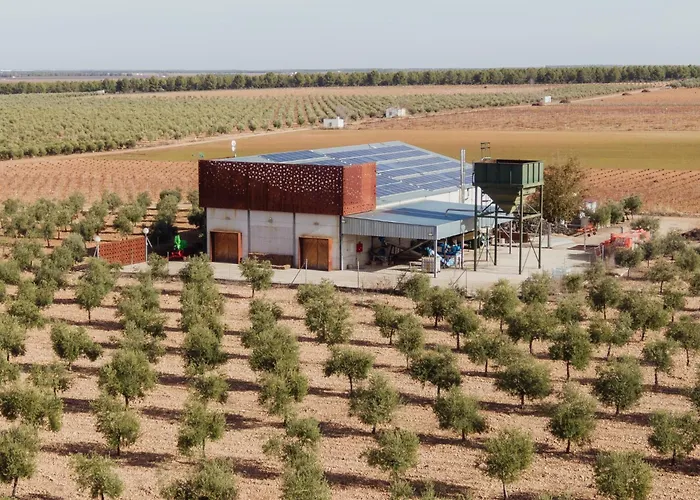 Luz de Alba