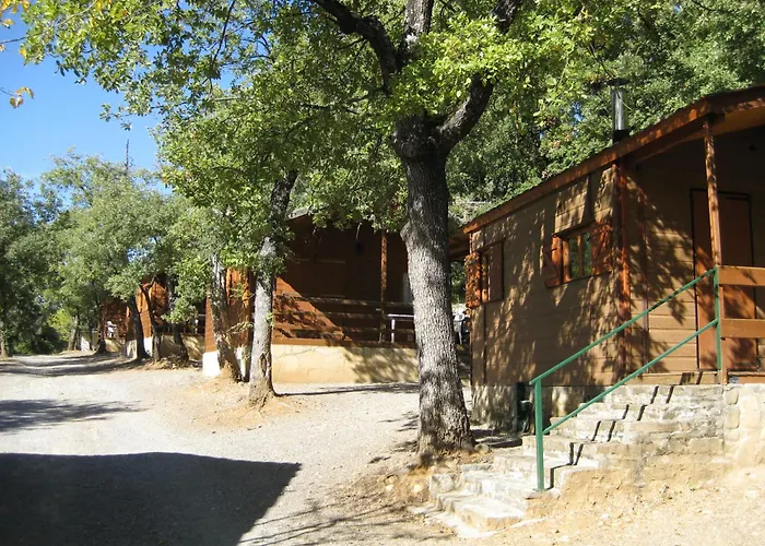 Holacamp Ainsa