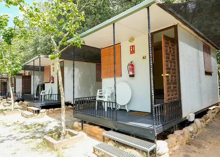 Holacamp Ainsa