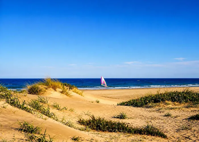 Latido Del Puerto