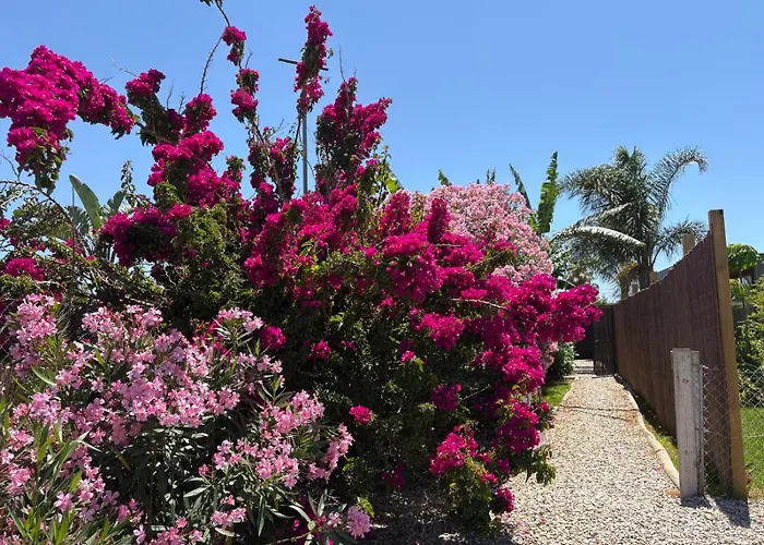 Casa Isabelina Stay near Doñana&the Coast