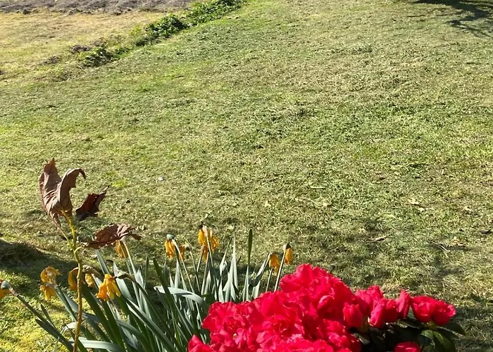 Albergue Vía de la Plata de Baños de Montemayor